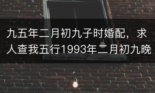 九五年二月初九子时婚配，求人查我五行1993年二月初九晚上11点