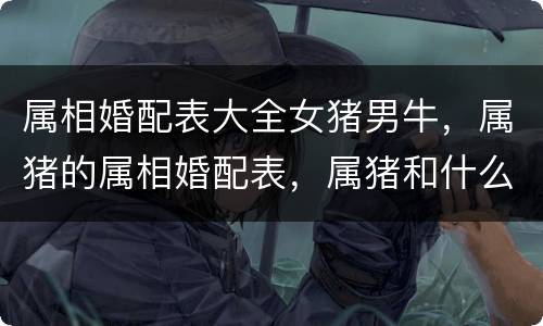属相婚配表大全女猪男牛，属猪的属相婚配表，属猪和什么属相最配