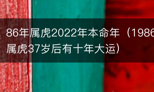 86年属虎2022年本命年（1986属虎37岁后有十年大运）