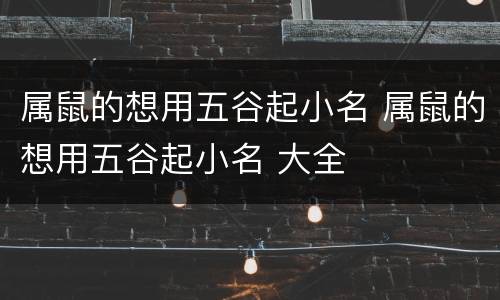 属鼠的想用五谷起小名 属鼠的想用五谷起小名 大全