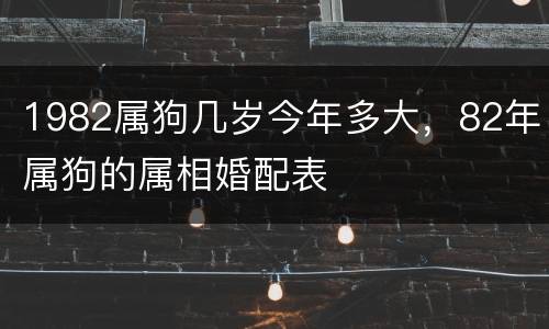 1982属狗几岁今年多大，82年属狗的属相婚配表