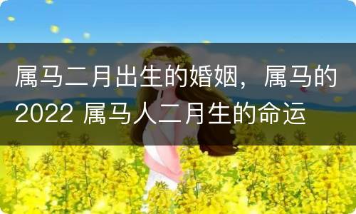 属马二月出生的婚姻，属马的2022 属马人二月生的命运
