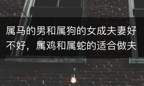 属马的男和属狗的女成夫妻好不好，属鸡和属蛇的适合做夫妻吗