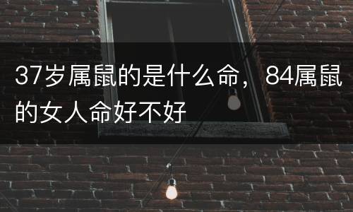 37岁属鼠的是什么命，84属鼠的女人命好不好