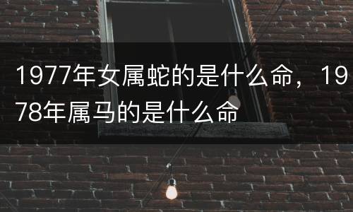 1977年女属蛇的是什么命，1978年属马的是什么命