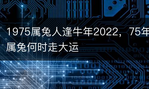 1975属兔人逢牛年2022，75年属兔何时走大运