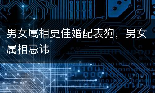男女属相更佳婚配表狗，男女属相忌讳