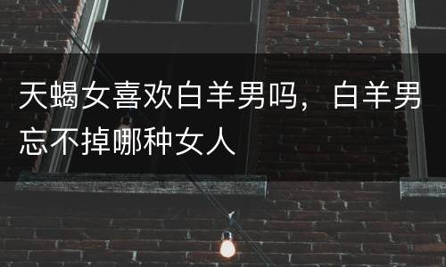 天蝎女喜欢白羊男吗，白羊男忘不掉哪种女人