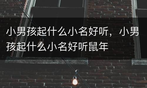 小男孩起什么小名好听，小男孩起什么小名好听鼠年