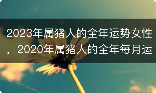 2023年属猪人的全年运势女性，2020年属猪人的全年每月运势女性
