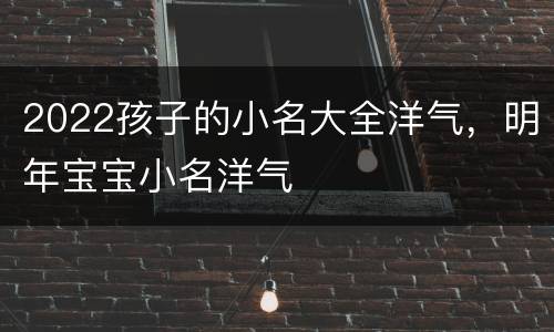2022孩子的小名大全洋气，明年宝宝小名洋气