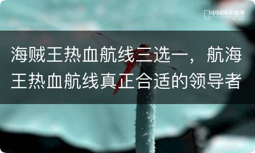 海贼王热血航线三选一，航海王热血航线真正合适的领导者