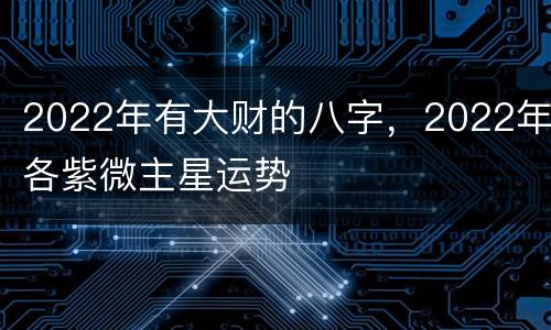 2022年有大财的八字，2022年各紫微主星运势
