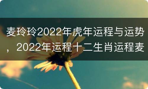 麦玲玲2022年虎年运程与运势，2022年运程十二生肖运程麦玲玲