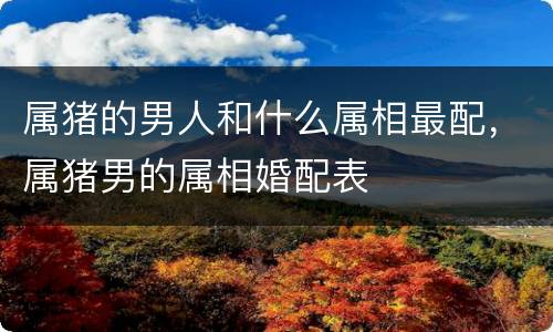 属猪的男人和什么属相最配，属猪男的属相婚配表