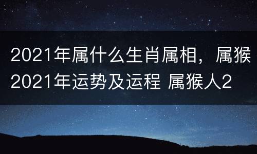 2021年属什么生肖属相，属猴2021年运势及运程 属猴人2