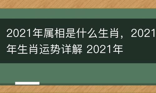 2021年属相是什么生肖，2021年生肖运势详解 2021年