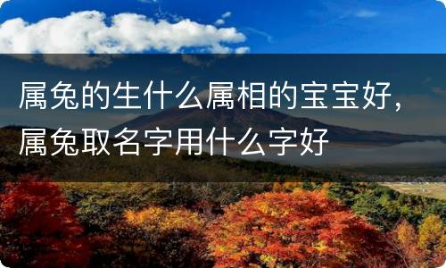 属兔的生什么属相的宝宝好，属兔取名字用什么字好