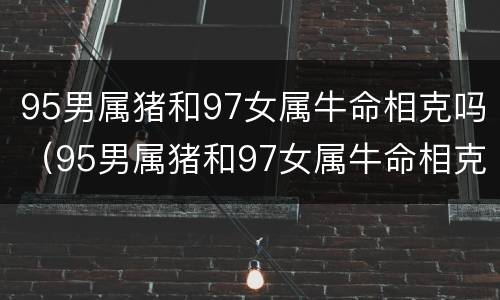 95男属猪和97女属牛命相克吗（95男属猪和97女属牛命相克吗为什么）