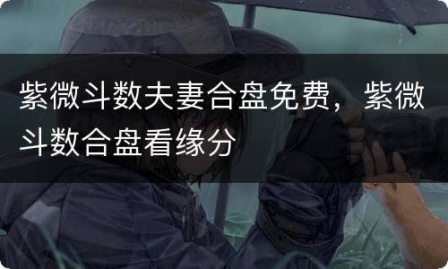 紫微斗数夫妻合盘免费，紫微斗数合盘看缘分