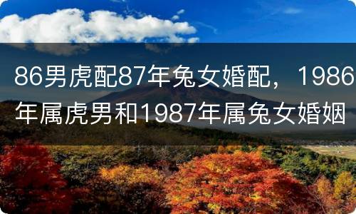86男虎配87年兔女婚配，1986年属虎男和1987年属兔女婚姻如何?
