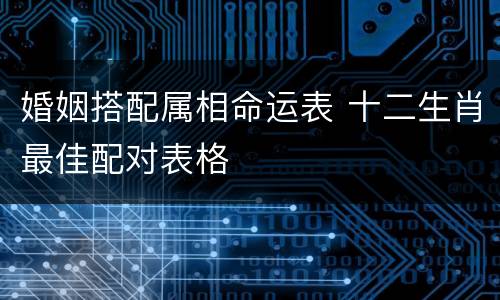 婚姻搭配属相命运表 十二生肖最佳配对表格