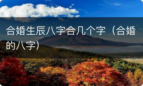 合婚生辰八字合几个字（合婚的八字）