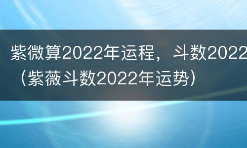 紫微算2022年运程，斗数2022（紫薇斗数2022年运势）