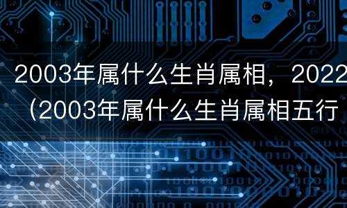 2003年属什么生肖属相，2022（2003年属什么生肖属相五行）