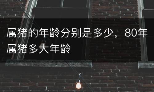 属猪的年龄分别是多少，80年属猪多大年龄