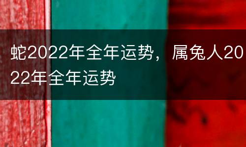 蛇2022年全年运势，属兔人2022年全年运势