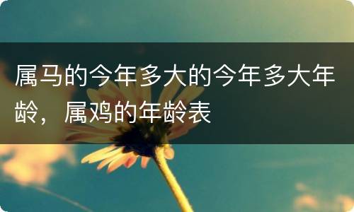 属马的今年多大的今年多大年龄，属鸡的年龄表