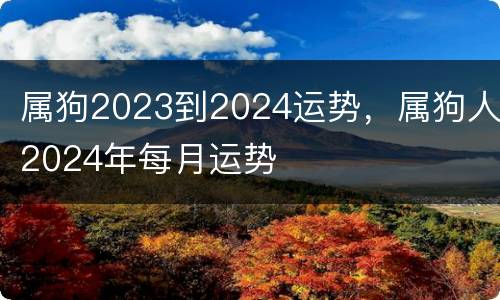 属狗2023到2024运势，属狗人2024年每月运势