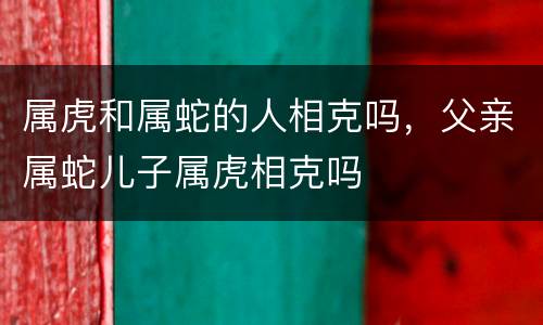 属虎和属蛇的人相克吗，父亲属蛇儿子属虎相克吗