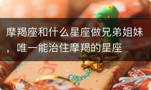 摩羯座和什么星座做兄弟姐妹，唯一能治住摩羯的星座