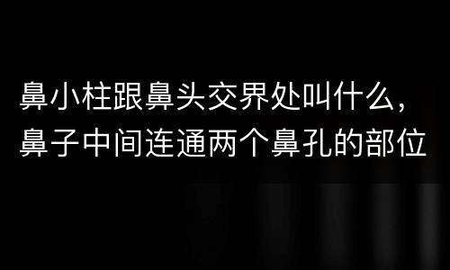 鼻小柱跟鼻头交界处叫什么，鼻子中间连通两个鼻孔的部位叫什么