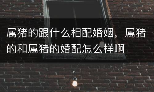 属猪的跟什么相配婚姻，属猪的和属猪的婚配怎么样啊