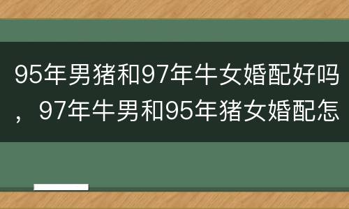 95年男猪和97年牛女婚配好吗，97年牛男和95年猪女婚配怎么样