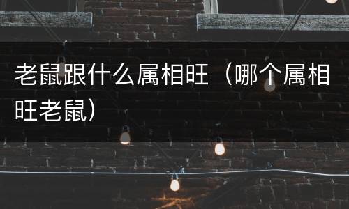 老鼠跟什么属相旺（哪个属相旺老鼠）