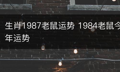 生肖1987老鼠运势 1984老鼠今年运势