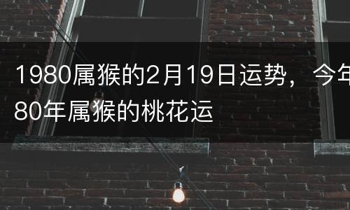 1980属猴的2月19日运势，今年80年属猴的桃花运