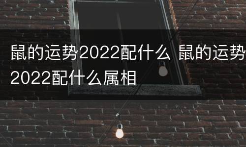 鼠的运势2022配什么 鼠的运势2022配什么属相