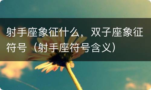 射手座象征什么，双子座象征符号（射手座符号含义）