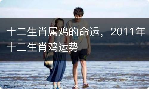 十二生肖属鸡的命运，2011年十二生肖鸡运势