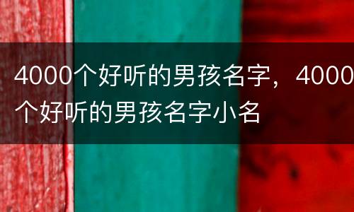 4000个好听的男孩名字，4000个好听的男孩名字小名