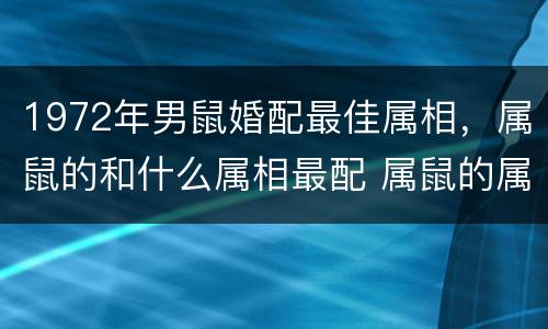 1972年男鼠婚配最佳属相，属鼠的和什么属相最配 属鼠的属相婚配表