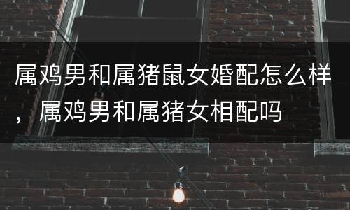 属鸡男和属猪鼠女婚配怎么样，属鸡男和属猪女相配吗