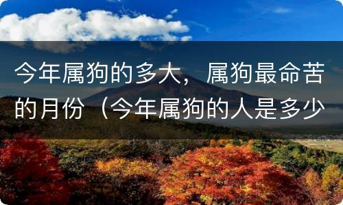 今年属狗的多大，属狗最命苦的月份（今年属狗的人是多少岁）