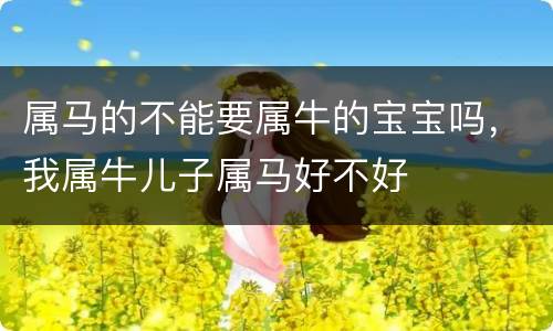 属马的不能要属牛的宝宝吗，我属牛儿子属马好不好