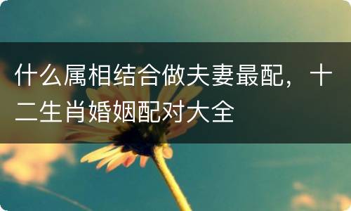 什么属相结合做夫妻最配，十二生肖婚姻配对大全